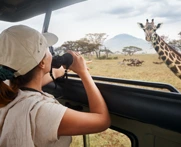 Voyage en Afrique